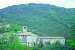 F.Avellana estate