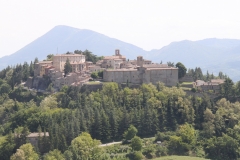 Montone