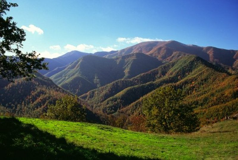 Alpe della Luna (1)